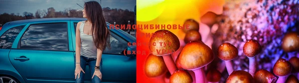 гашик Горнозаводск