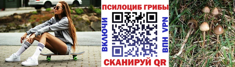 магазин  наркотиков  Харабали  Псилоцибиновые грибы Cubensis 